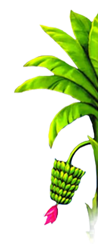 Banana Tree Right